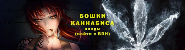 apvp Аркадак