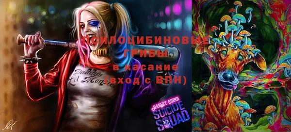 a pvp Баксан