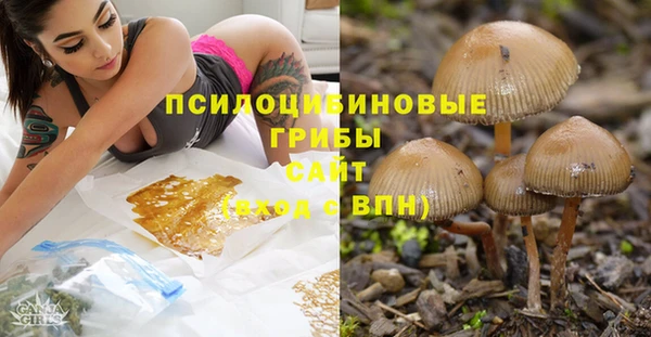 apvp Аркадак