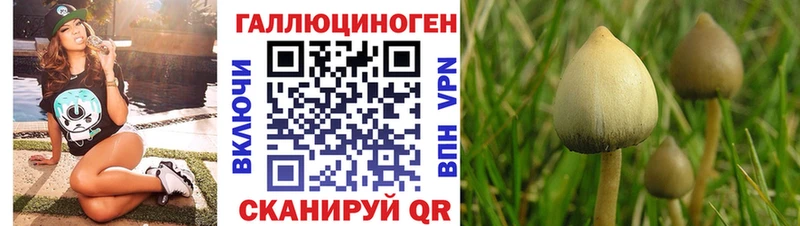 Галлюциногенные грибы прущие грибы  закладка  Свирск 